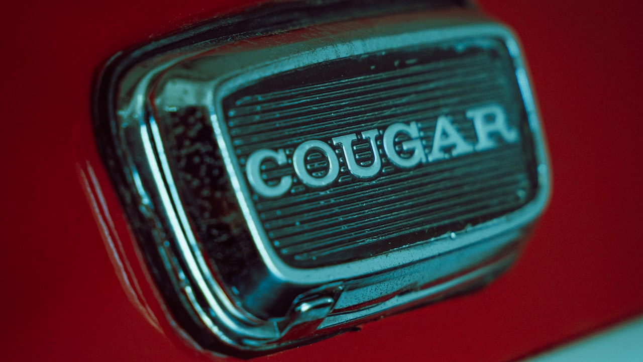 ‘Can you start up an eco-brand with £200? We did!’