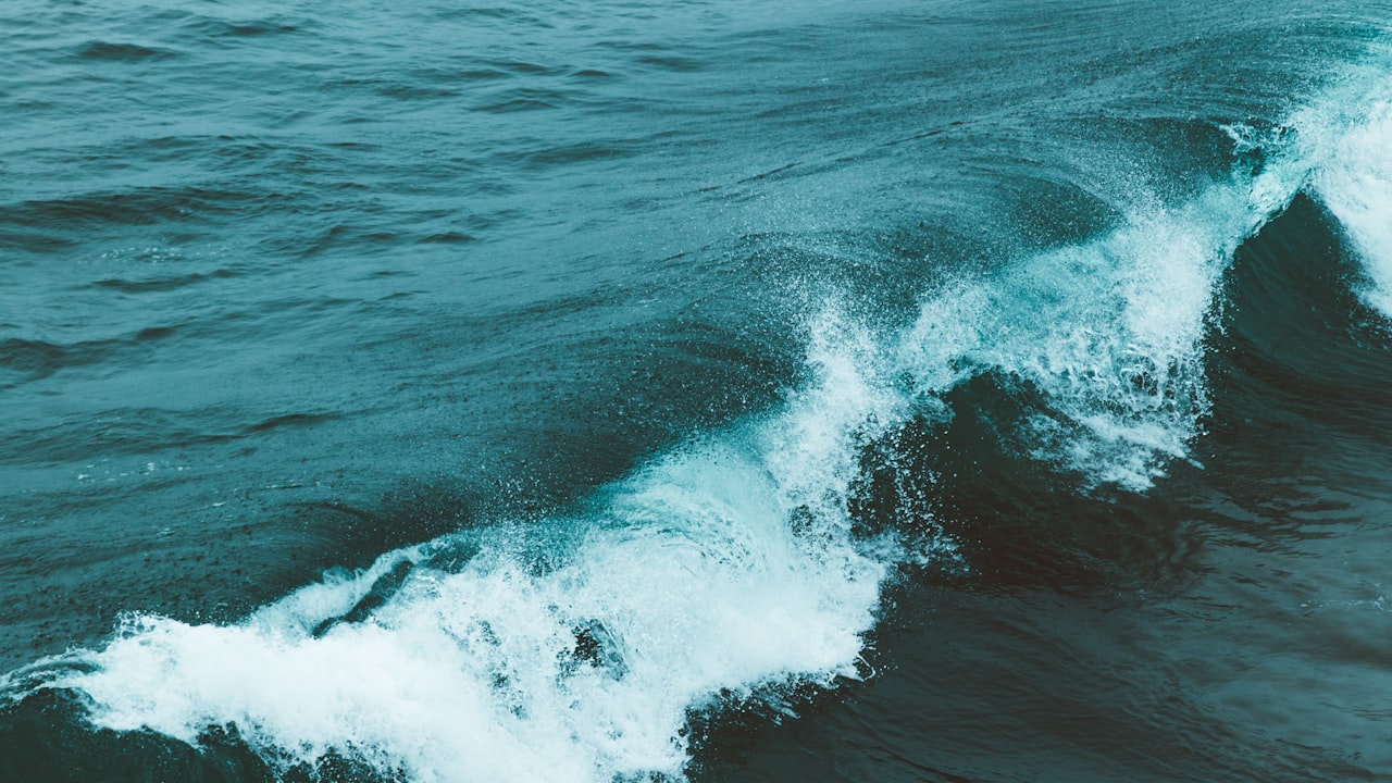 Exploring the Surprising Health Benefits of Cold Water